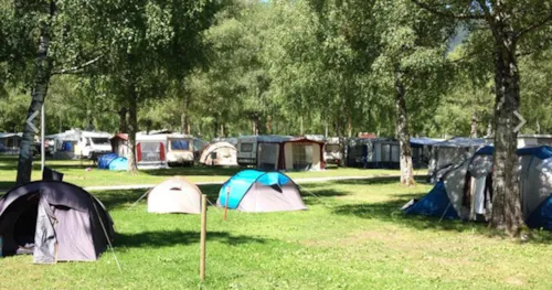 Pitch - Pitch 1 Tent + 1 Car - image n°1 - Clico Chic - Camping L'Aloua