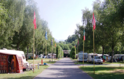 Camping L'Aloua - image n°2 - Roulottes