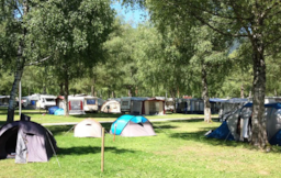 Camping L'Aloua - image n°6 - Roulottes