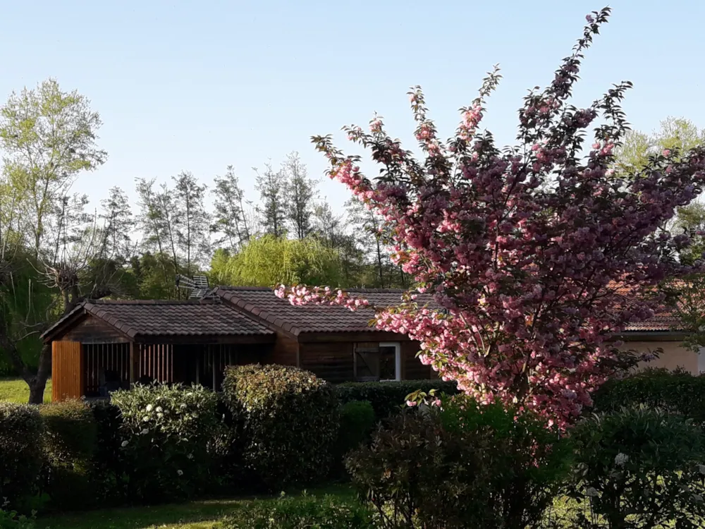Location - Chalet Catalpa - La Ferme des Epinettes