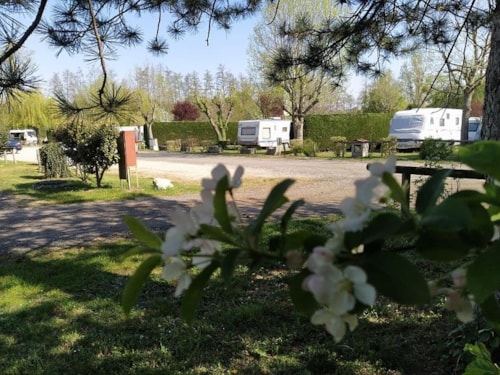 Foto #1 van La Ferme des Epinettes