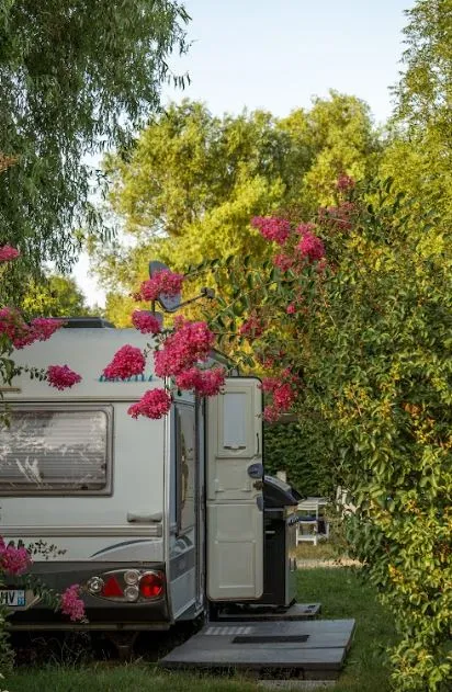 Emplacement - Emplacement Tente Ou Caravane + 1 Voiture - image n°2 - La Ferme des Epinettes