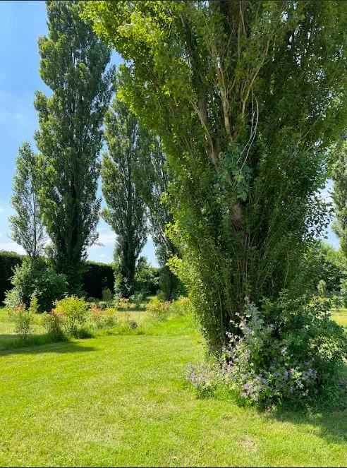 Emplacement - Emplacement Tente Ou Caravane + 1 Voiture - image n°3 - La Ferme des Epinettes