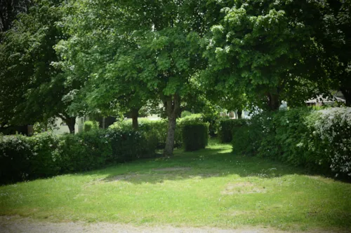 Stellplatz - Stellplatz Comfort Plus + Auto + 10A - image n°2 - Camping de la Belle Etoile