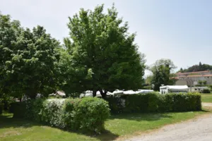 Emplacement - Stellplatz Comfort Plus + Auto + 10A - Camping de la Belle Etoile