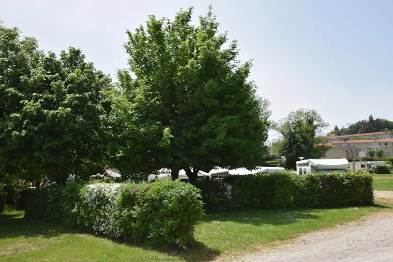 Emplacement Confort Plus + Véhicule + 10A