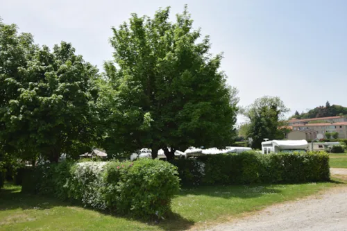 Stellplatz - Stellplatz Komfort + Fahrzeug (Ohne Strom) - image n°2 - Camping de la Belle Etoile