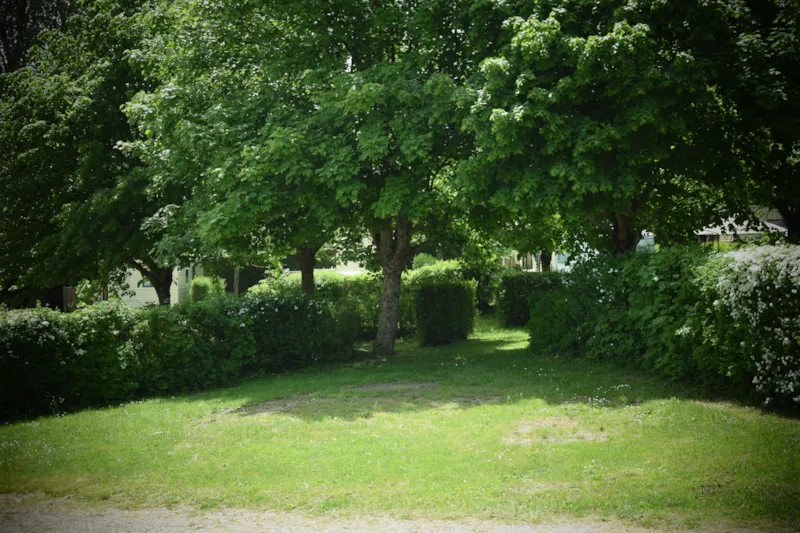 Emplacement Confort + Véhicule (Sans L'ectricite)