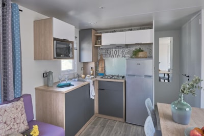 Mobile home Lodge Grand confort 3 bedrooms terrace — 4