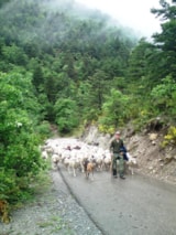 Foto #42 van Camping Mandala