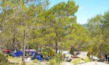 Kampeerplaats(en) - Basisprijs Comfortplaats (1 Tent, Caravan + 1 Auto) - Flower Camping Les Cadenières