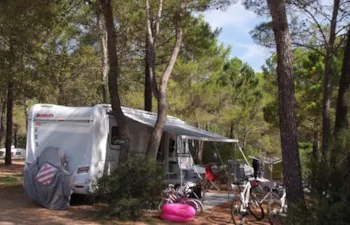 Kampeerplaats(en) - Standplaats + 1 Auto + Tent, Caravan Of Camper - Flower Camping Les Cadenières