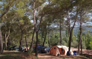 Pitch - Comfort Package  (10A) - Flower Camping Les Cadenières