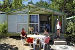 Mietunterkunft - Chalet Standard 23M² Halbüberdachte Terrasse 5P - Flower Camping Les Cadenières