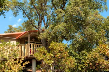 Mietunterkunft - Mobile Home On Stilts | 22M² | A/C | 2 Bedrooms | Built-In Terrace - - Camping Acqua e Sole