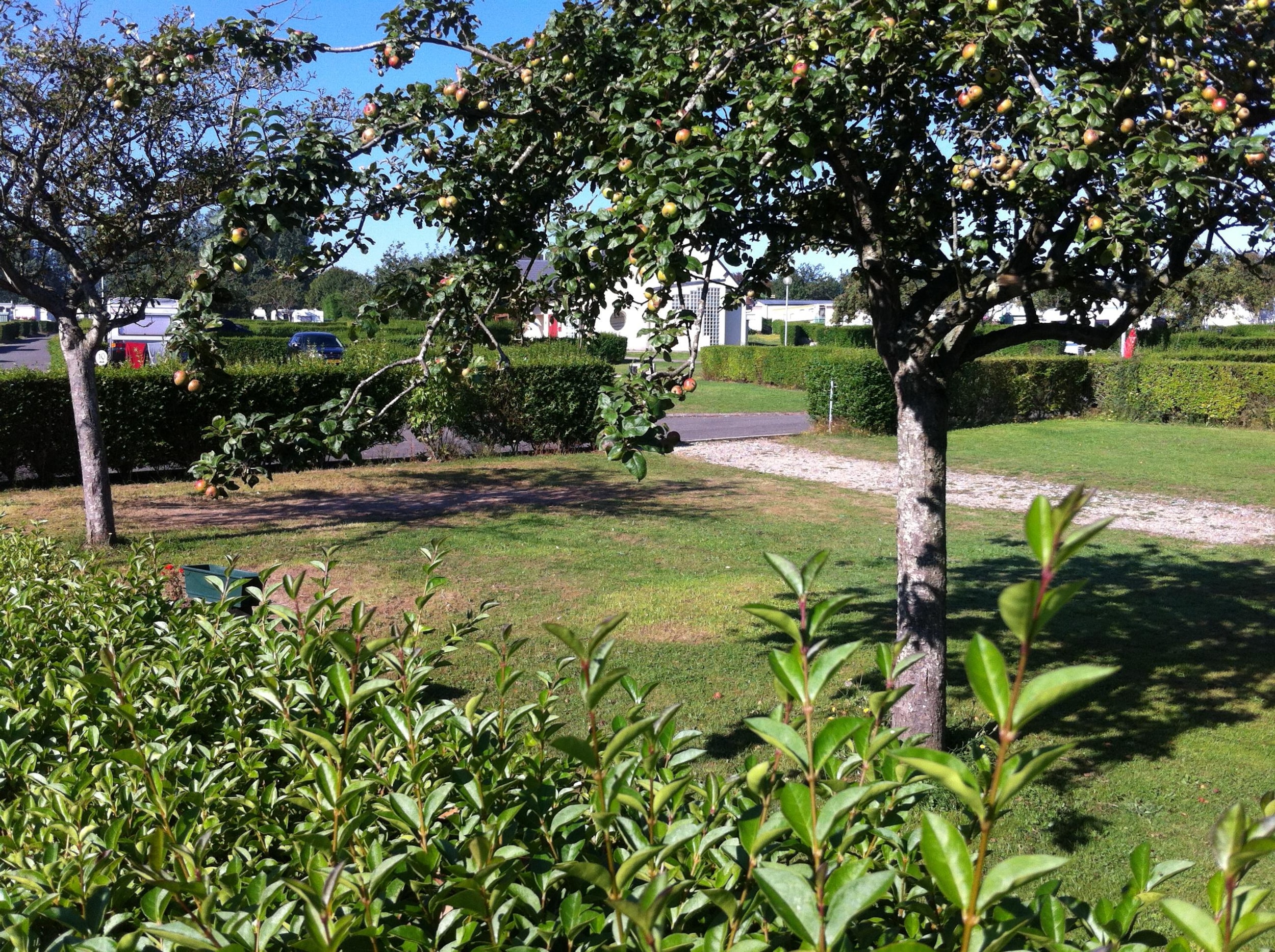 Camping Seasonova Etennemare — Foto 7