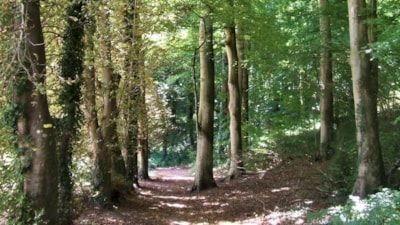 SEJOUR SLOW LIFE — 7