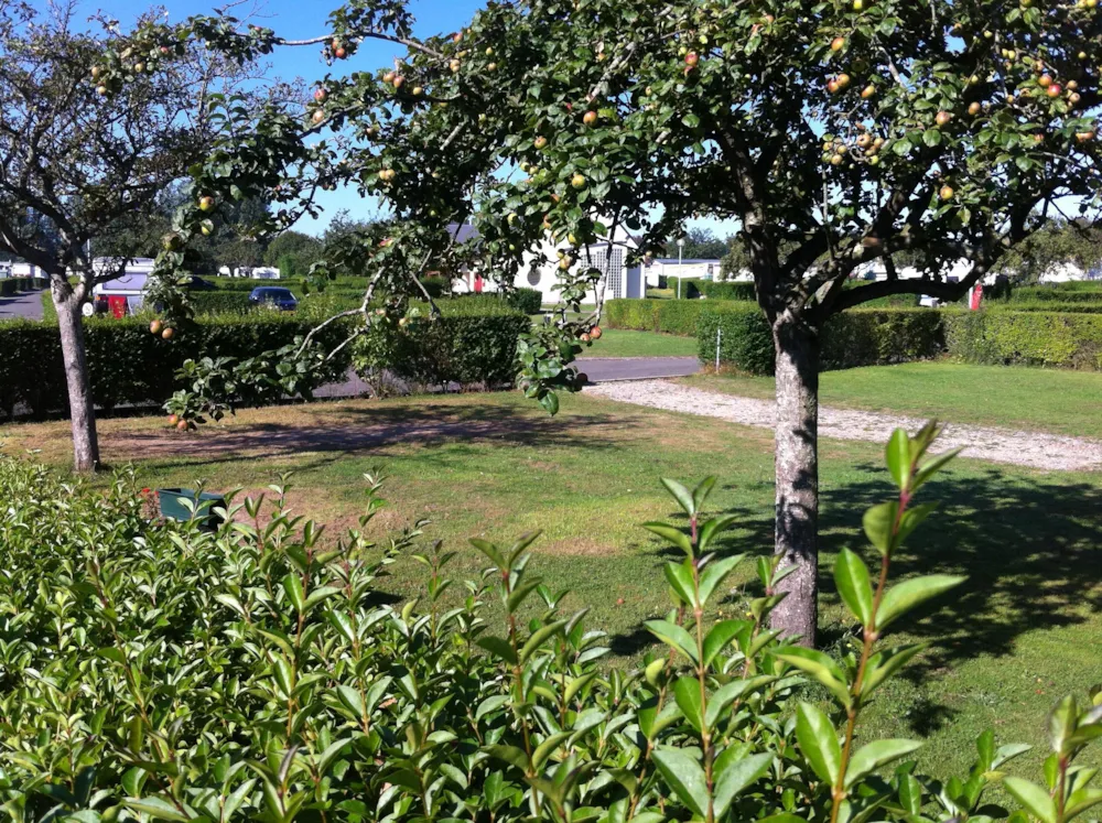 Emplacement - Forfait Randonnée + Tente (Sans Véhicule Et Sans Électricité) - Camping Seasonova Etennemare