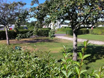 Kampeerplaats(en) - Pakket Wandelaar +  Kampeertent( Zonder Auto) - Camping Seasonova Etennemare