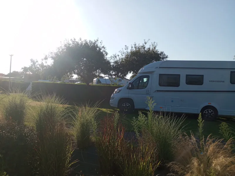 Forfait Confort- Emplacement + Véhicule + Électricité