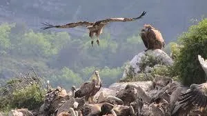 Camping Les Restanques