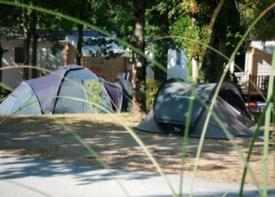 Package B: pitch + vehicle + electricity 6A