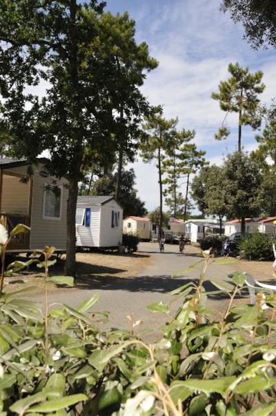 MOBIL-HOME Classique 2 bedrooms - terrace — 4