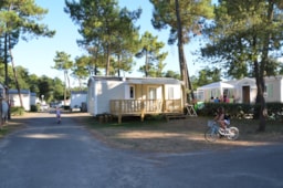 Huuraccommodatie(s) - Mobil-Home Confort 2 Kamers - Terras - Camping Le California