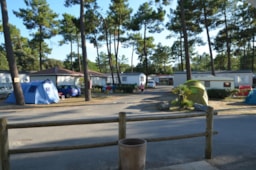 Kampeerplaats(en) - Pakket B: Standplaats + Voertuig + Elektriciteit 10A - Camping Le California