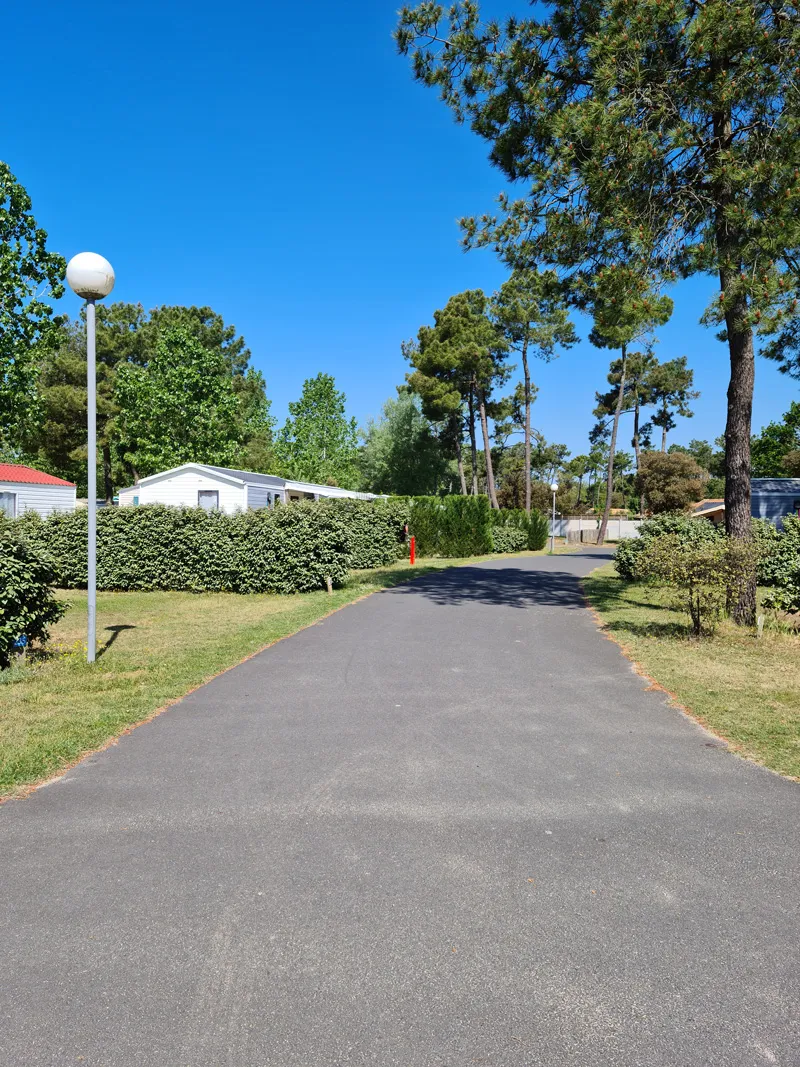 Forfait De Base : 2 Personnes , Emplacement Avec Électricité 10 Ampères + Voiture  Inclus