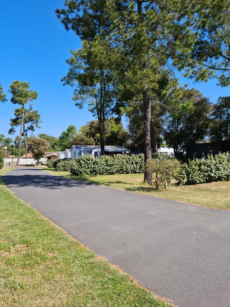 Forfait De Base : 2 Personnes , Emplacement Avec Électricité 10 Ampères + Voiture  Inclus