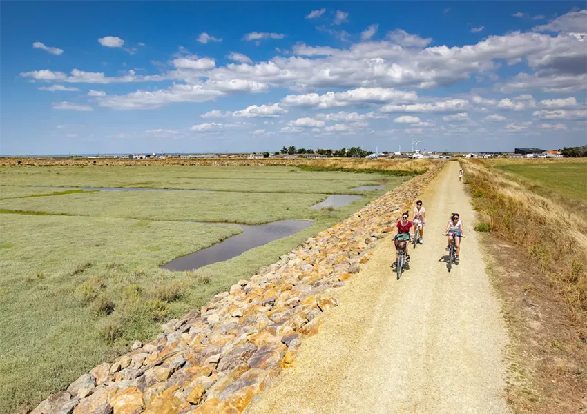 Camping Le California