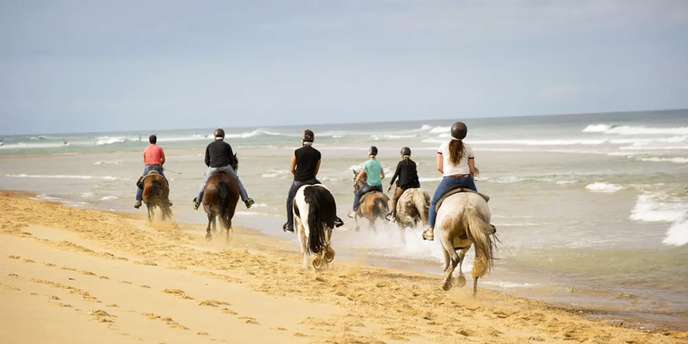 Camping Le California