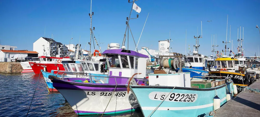 Camping Le California