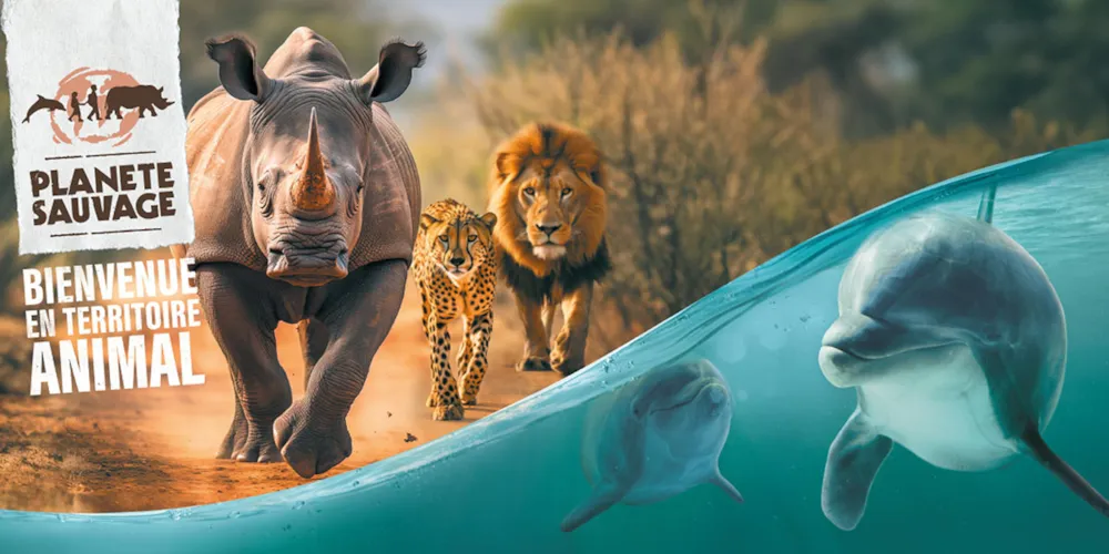 Camping Le California