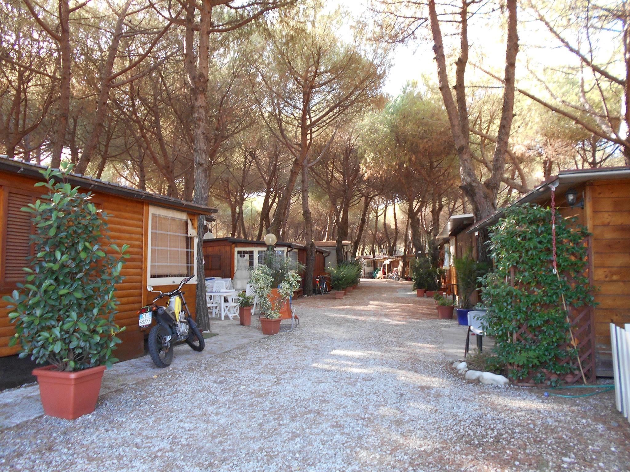 Iron Gate Marina 3B — Foto 3