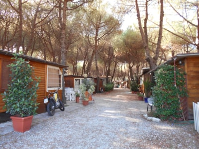 Iron Gate Marina 3B
