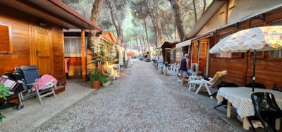 Pitch caravan — 2