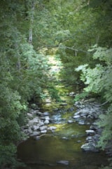 Foto #63 van Les Chalets de la Gazonne