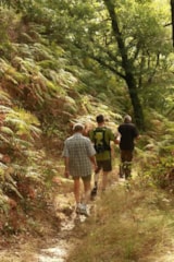 Foto #34 van Les Chalets de la Gazonne