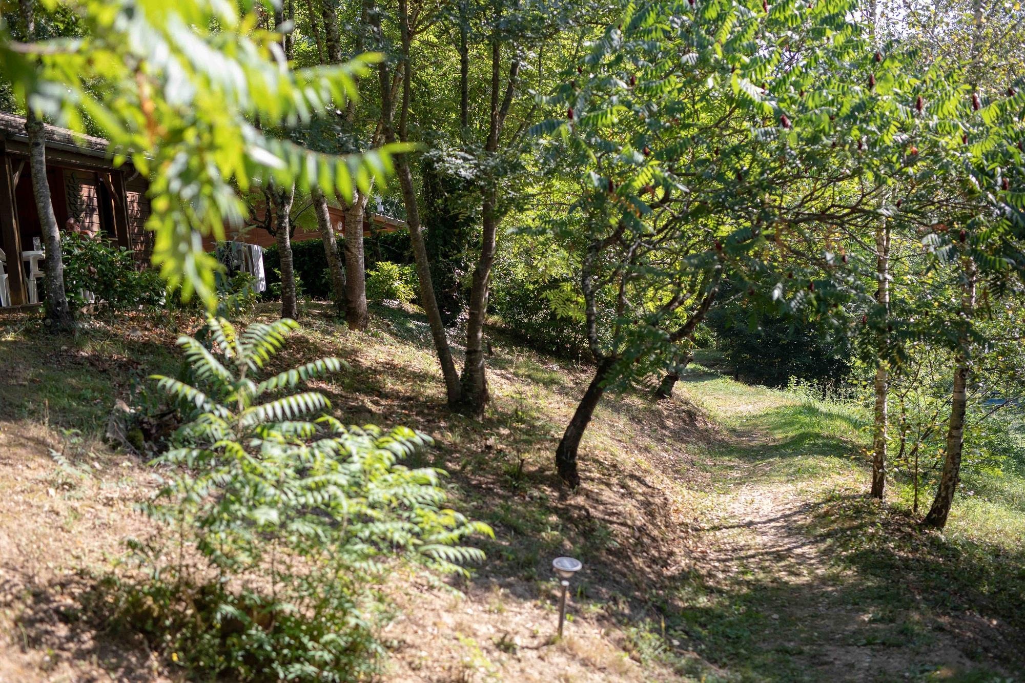 Les Chalets de la Gazonne — Photo 5