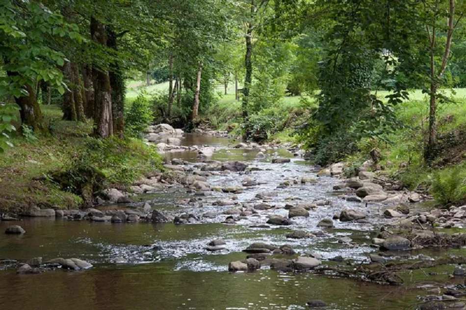 Les Chalets de la Gazonne
