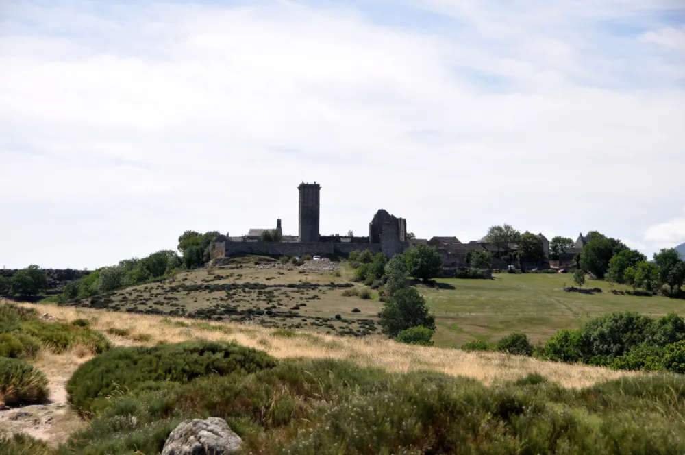 Camping Le Mas des Sédariès