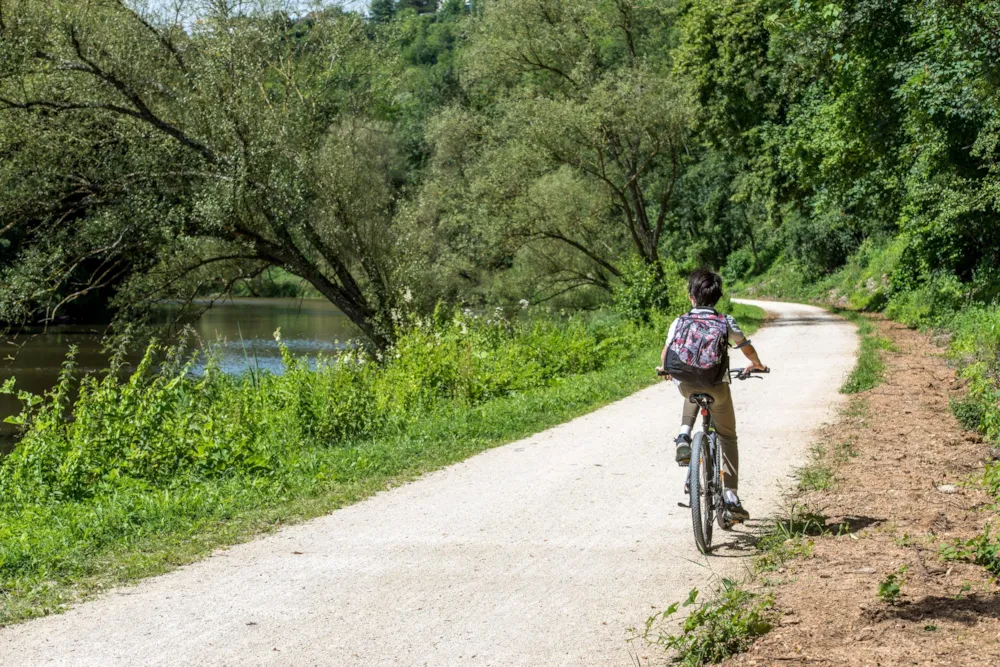 Camping de la Moselle