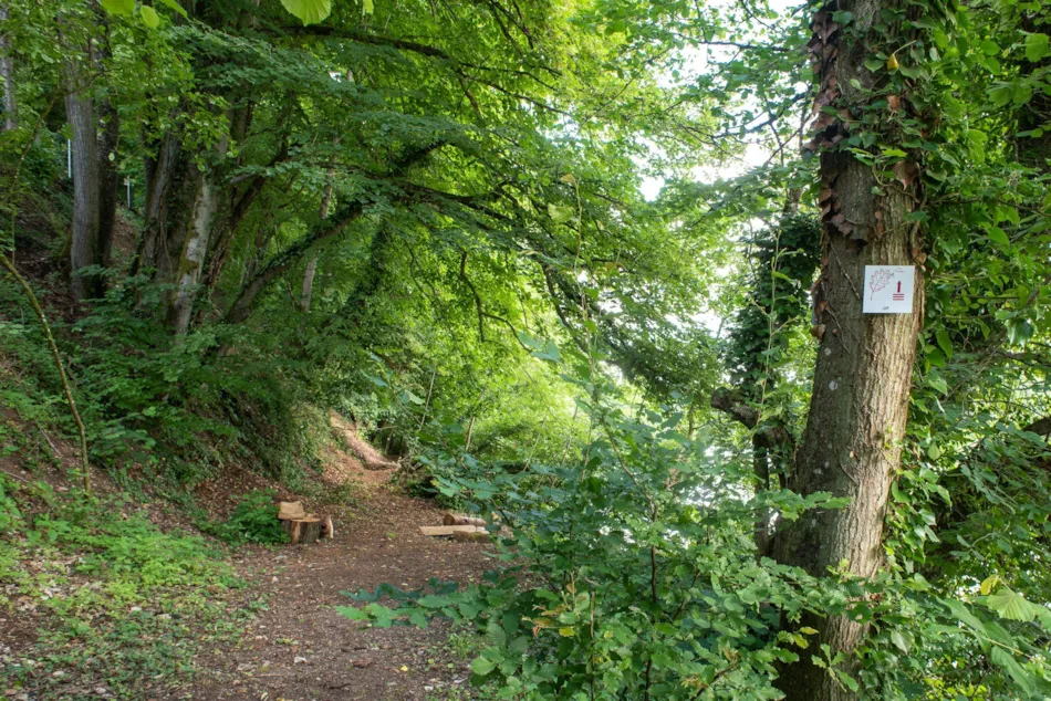 Camping de la Moselle