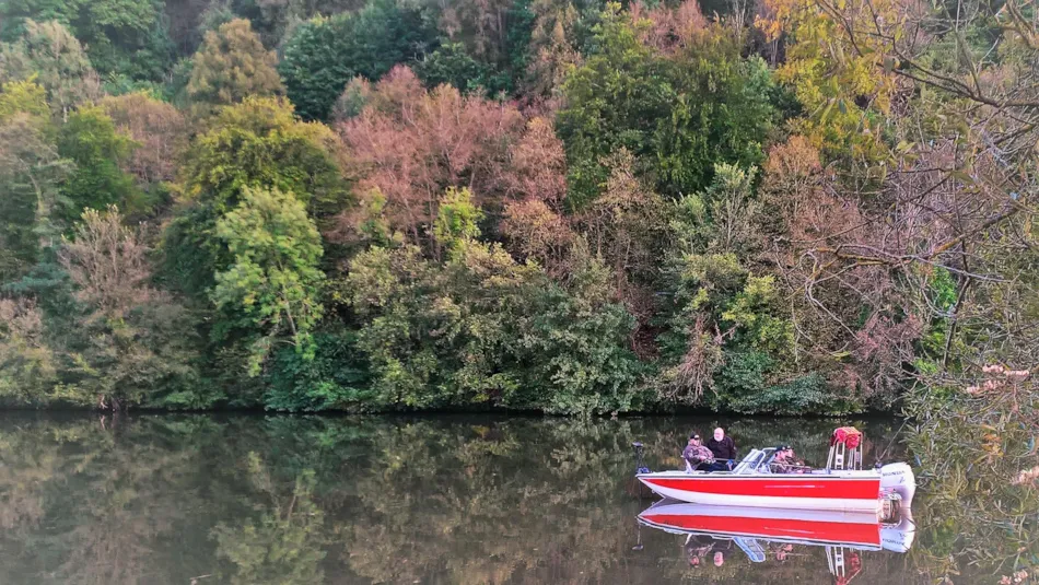 Camping de la Moselle