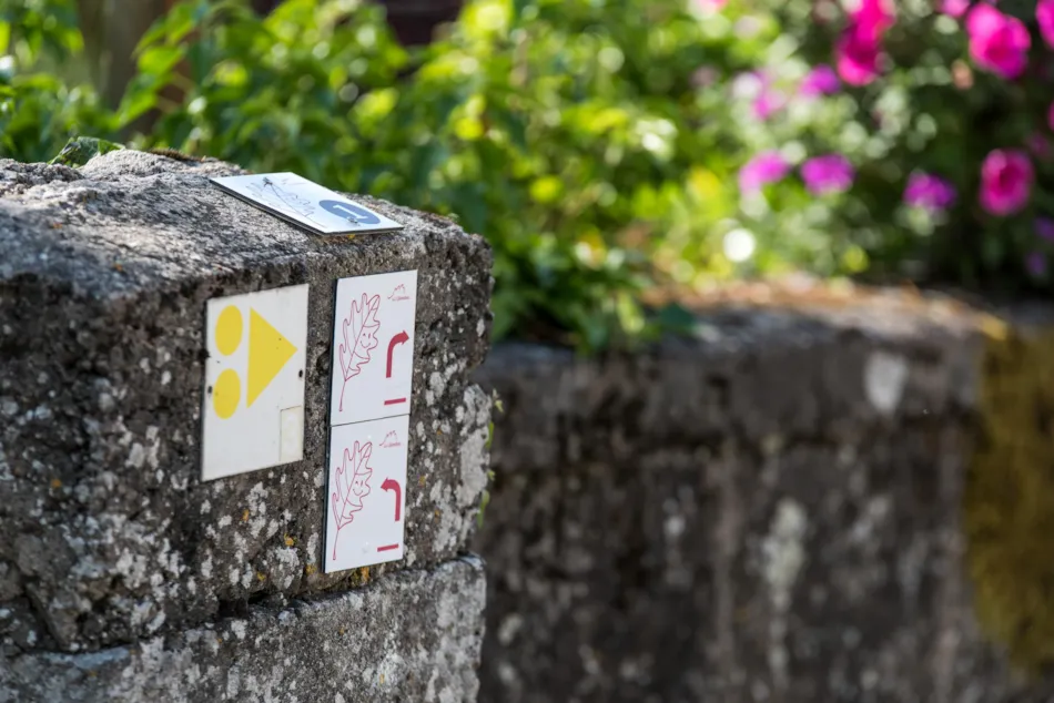 Camping de la Moselle