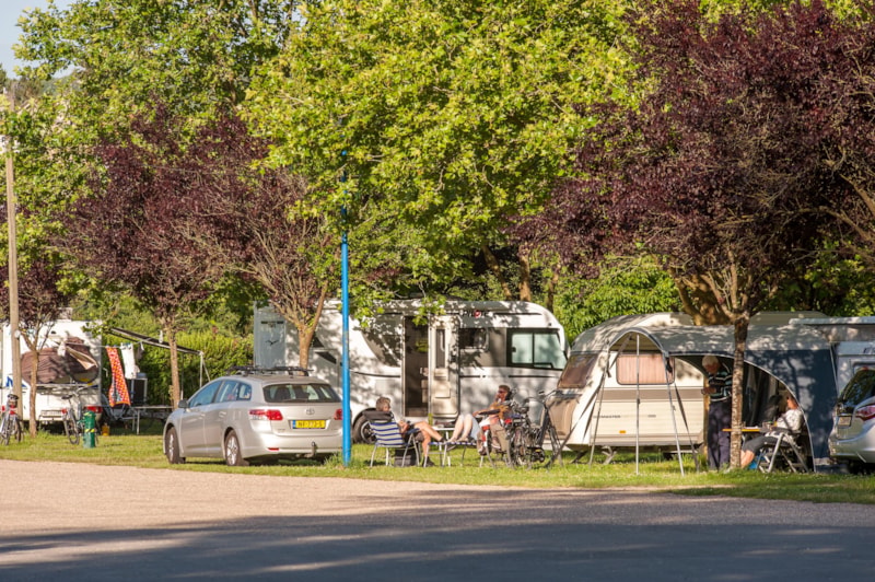 Camping de la Moselle photo 5