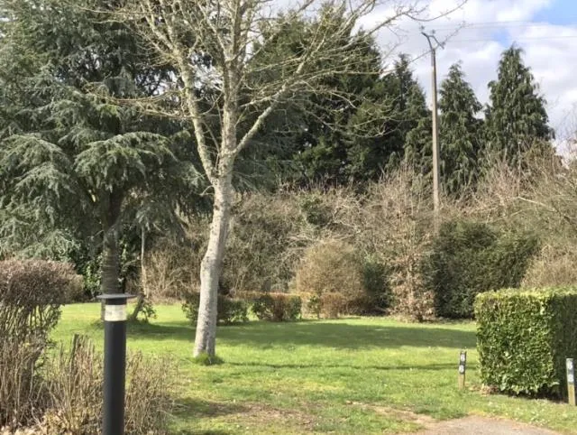 Forfait Confort Avec Éléctricité Voiture + Tente / Caravane Ou Camping Car