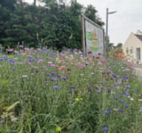 Foto #6 van Camping DOMAINE DE KERELLY